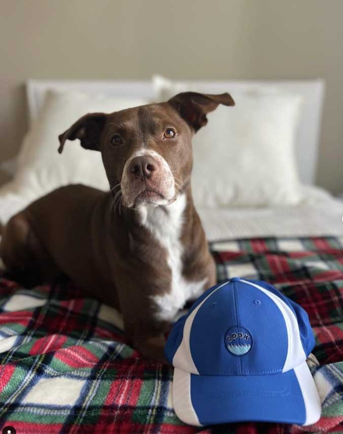 Fred A. Cook Jr., Inc. - Giving Back